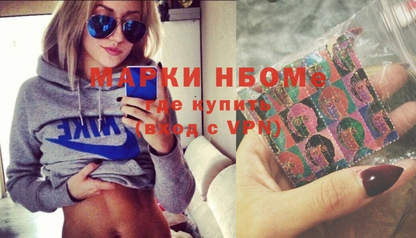 индика Беломорск