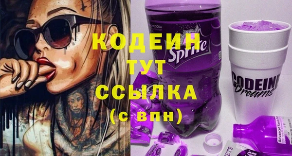 индика Беломорск