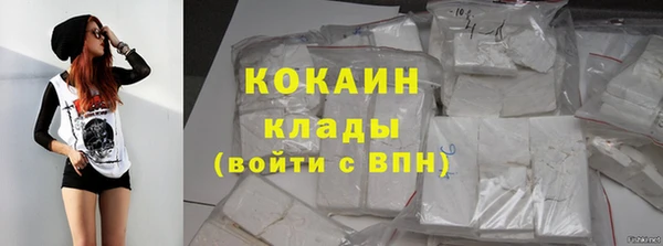 индика Беломорск