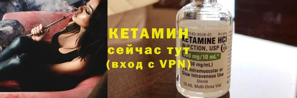 индика Беломорск