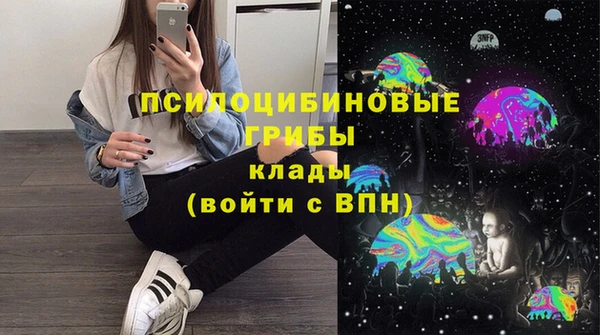 индика Беломорск