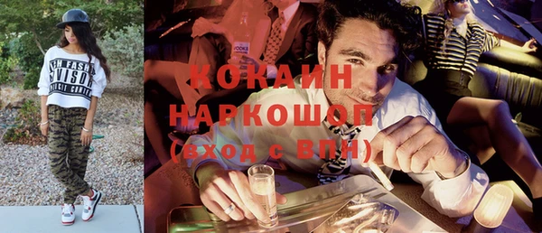СК Богородск