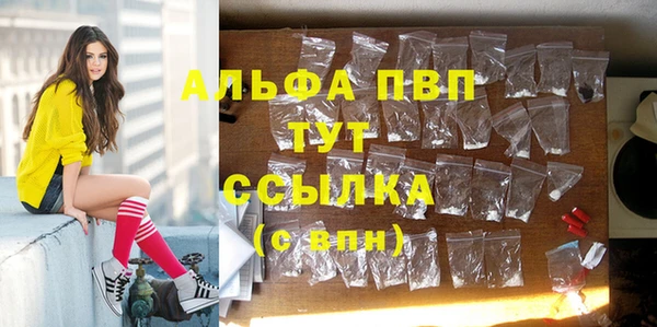 индика Беломорск