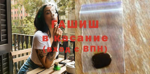 индика Беломорск