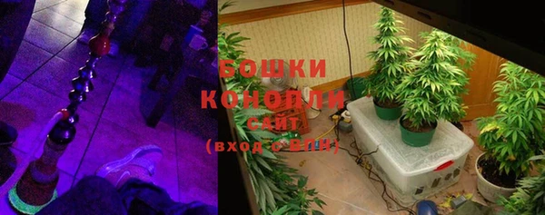 индика Беломорск