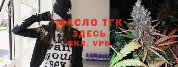 индика Беломорск