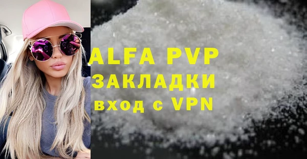 индика Беломорск